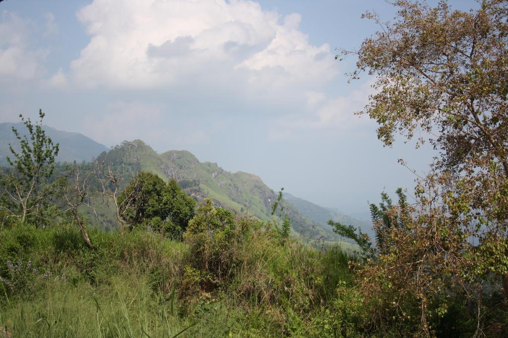 Village View Homestay Ела Екстериор снимка