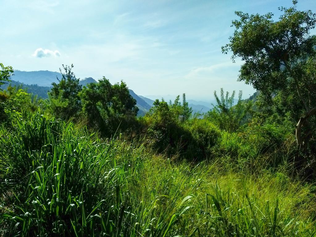 Village View Homestay Ела Екстериор снимка